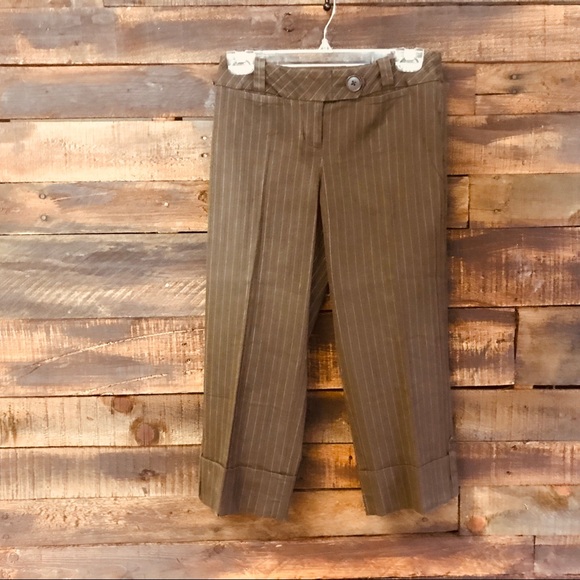 Ann Taylor Loft Career Petites Capri’s